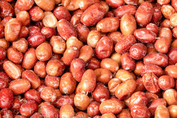 Jujube Fruits