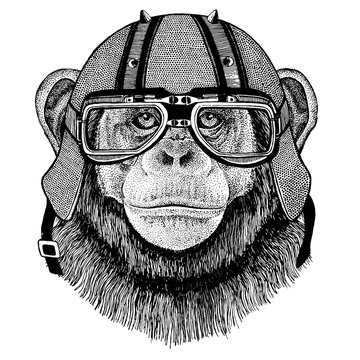 Chimpanzee, monkey wearing a motorcycle, aero helmet. Hand drawn image for tattoo, t-shirt, emblem, badge, logo, patch.
