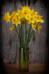 bouquet of daffodils in a vase