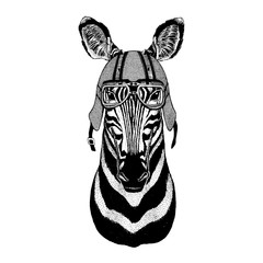 Zebra, horse wearing a motorcycle, aero helmet. Hand drawn image for tattoo, t-shirt, emblem, badge, logo, patch