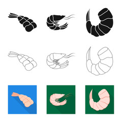 Vector design of appetizer and ocean symbol. Set of appetizer and delicacy stock symbol for web.