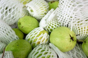 fresh guava fruit