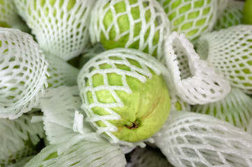fresh guava fruit