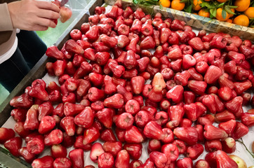 fresh wax apple fruit