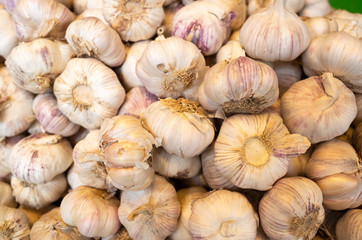 garlic in the traditional marketplace