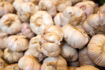 garlic in the traditional marketplace