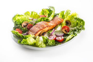 Roasted salmon fillet with fresh vegetable salad isolated on white background