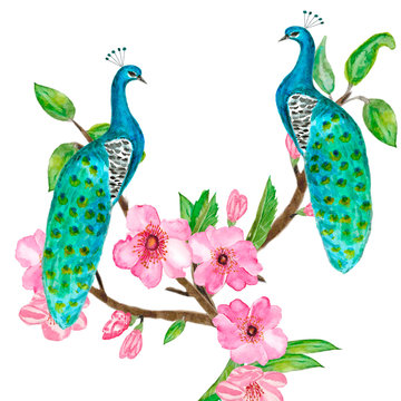 Watercolor painting of peacocks on a tree and pink flowers. Rose tree