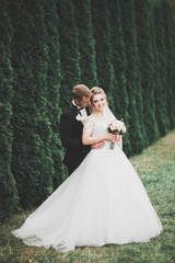 Fototapeta premium Happy wedding couple walking in a botanical park