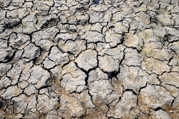 dry crack ground texture