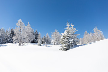  Beautiful winter scenery. Austrian countryside with a lot of fresh snow