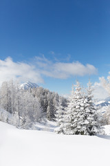  Beautiful winter scenery. Austrian countryside with a lot of fresh snow. Vertical shot 