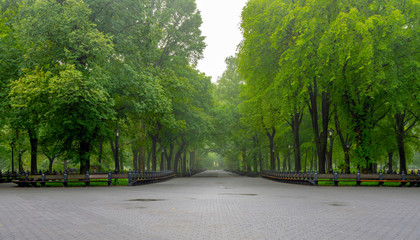 Central Park Mall on foggy rainy day