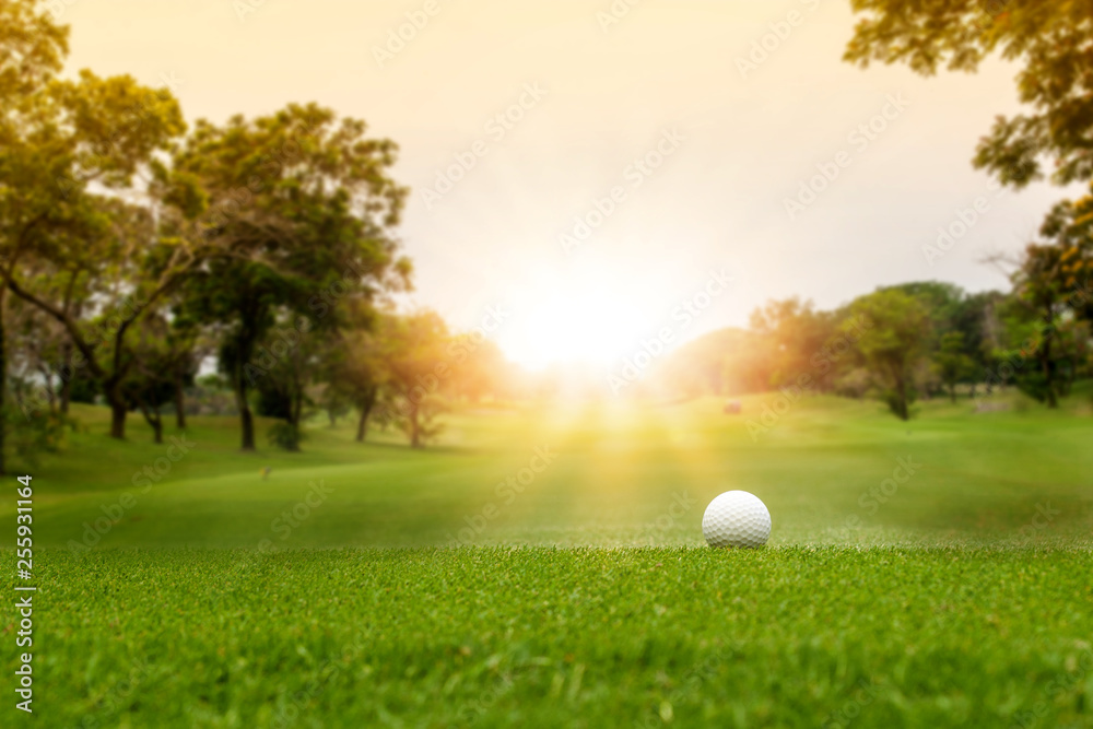 Sticker white golf ball on green course to be shot on blurred beautiful landscape of golf course in bright d