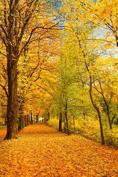 Bielsko-Biała, Bielitz - Park Włókniarzy jesienią