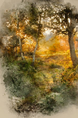 Watercolour painting of Stunning dawn sunrise landscape in misty New Forest countryside