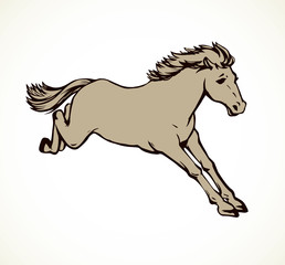 Horse racing. Vector drawing