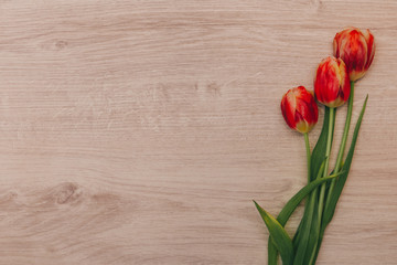 Red tulips on wooden background. Tulips for women. Place for inscription.