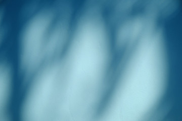 shadow of the leaves on blue wall