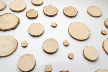 Pine tree cross-sections with annual rings on plane white surface. Lumber piece close-up shot.