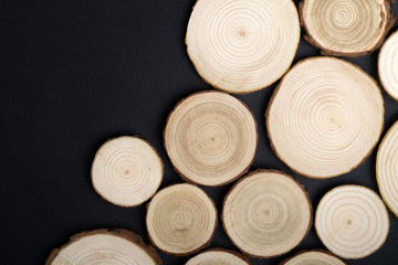 Pine tree cross-sections with annual rings on black background. Lumber piece close-up shot, top view.