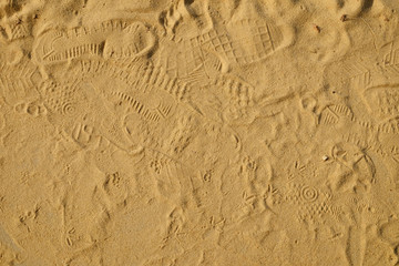 sand beach with footprints