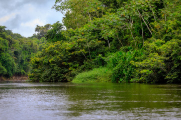 The beautiful nature of Kabalebo in Surinam