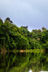 Fototapeta na wymiar The beautiful nature of Kabalebo (Surinam)