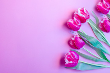 Minimal Floral layout of tulips