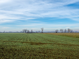 Fototapeta na wymiar Rural landscape near Lodi, italy