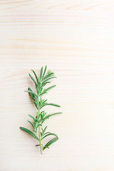 Rosemary (Rosmarinus officinalis) twig on wooden table