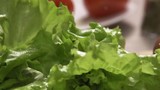 Lettuce falling on the plate - video in slow motion. Scene. Lettuce falling and splashing with water drops