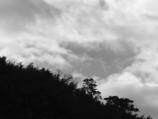 black and white silhouette tree in mountain with cloud in the sky