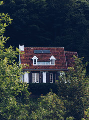 A photo of an abandoned mountain lodge in a dense forest that originated during the summer.