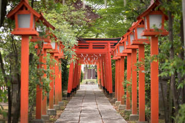 Gateway to a Shinto shrine