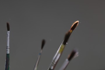 Paintbrushes in the sunlight 