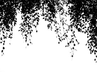 images Black Tree Branches On Canvas black tree branch concept wall murals