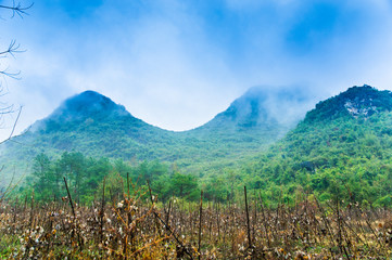 Fototapeta premium Mountain in the mist scenery 