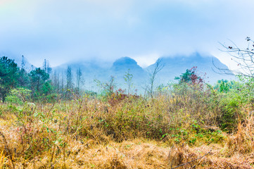 Mountain in the mist scenery 