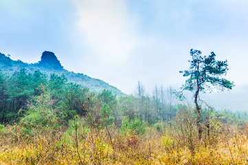 Mountain in the mist scenery 