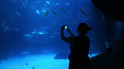 Woman taking picture of fish in water in 4k slow motion 60fps