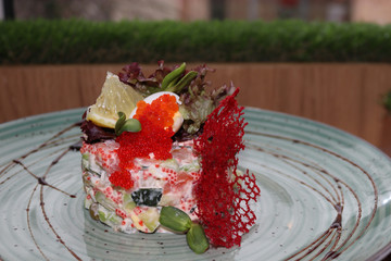 Salad, caviar, red, salmon, eggs, food, traditional, gourmet, new, carrot, Olivier, Closeup, White, Healthy, Orange, Freshness, meal, snack, dinner, plate, fish, refreshment, appetizer, seafood, porti