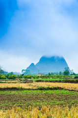 Mountain in the mist scenery 