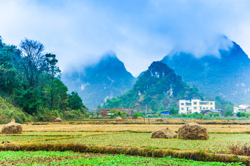Fototapeta premium Mountain in the mist scenery 
