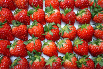 たくさんのいちご