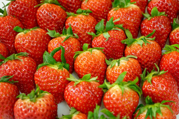 たくさんのいちご