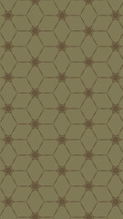 Ornate geometric pattern and two-tone abstract background