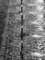 fountain black and white