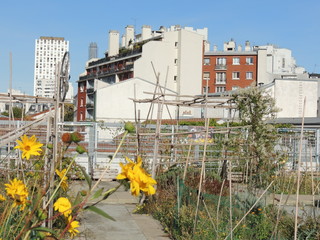 Jardin panoramique