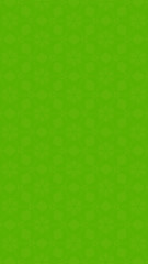 Ornate geometric pattern and two-tone abstract background